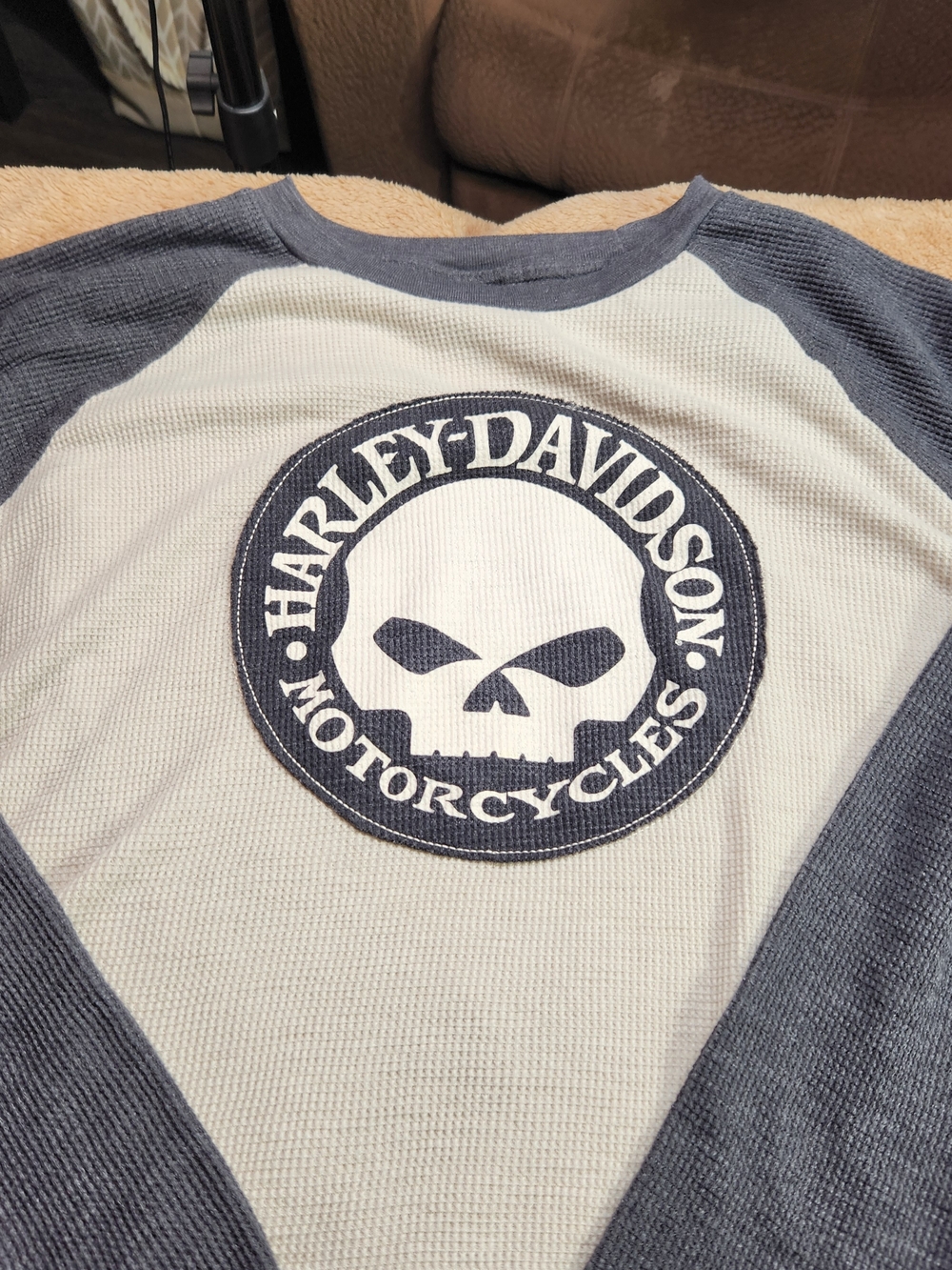 Harley-Davidson Skull Raglan Tee in Gray and Cream Size XL
